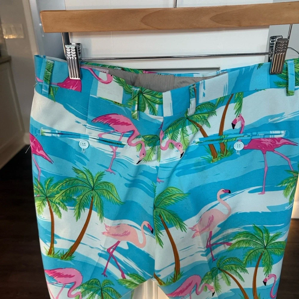 OppoSuits Flamingo mens suit US 36